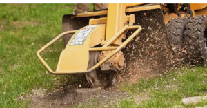 stump removal experts