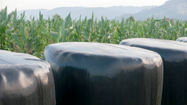 Silage Film The Key to Optimal Silage Preservation in Australia